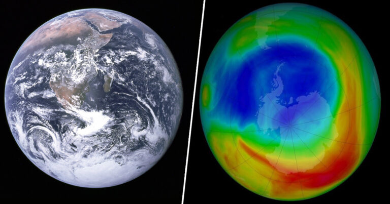 A pause in Southern Hemisphere circulation trends due to the Montreal Protocol