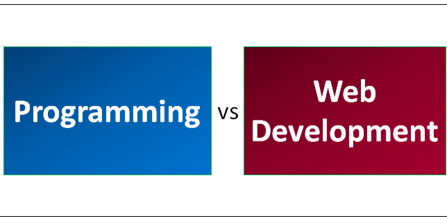 Programming versus Web Development: What's the Difference? - Rent ...